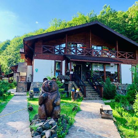 Chalet Vedmezhe Поляна Экстерьер фото