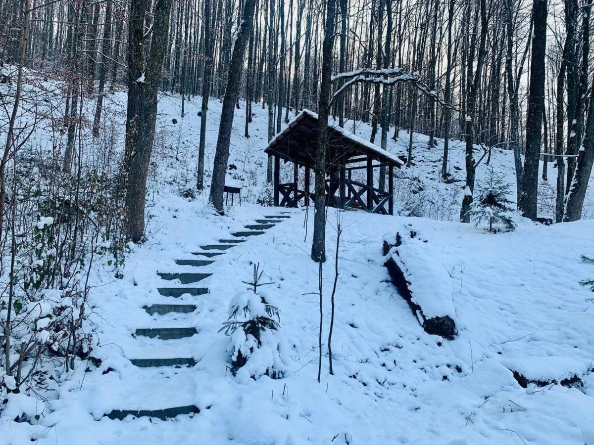 Chalet Vedmezhe Поляна Экстерьер фото
