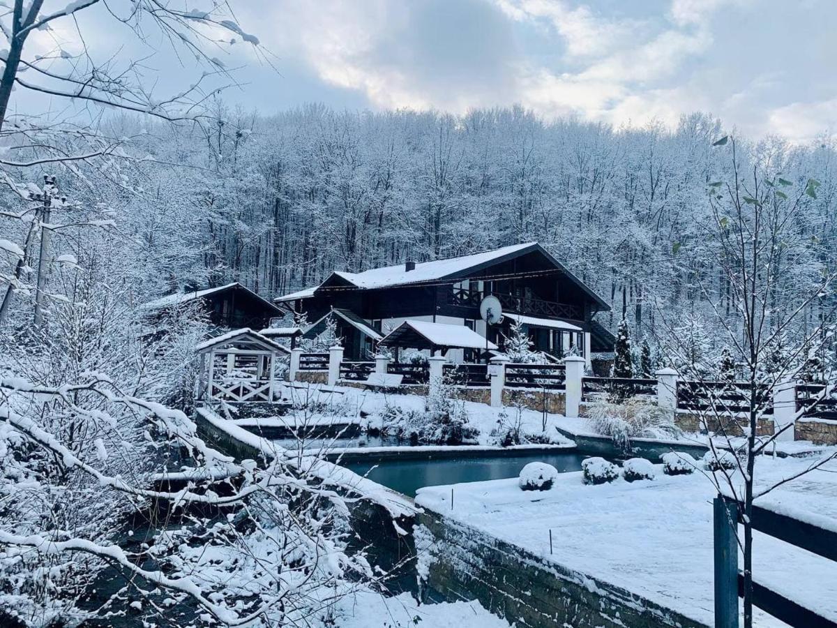 Chalet Vedmezhe Поляна Экстерьер фото