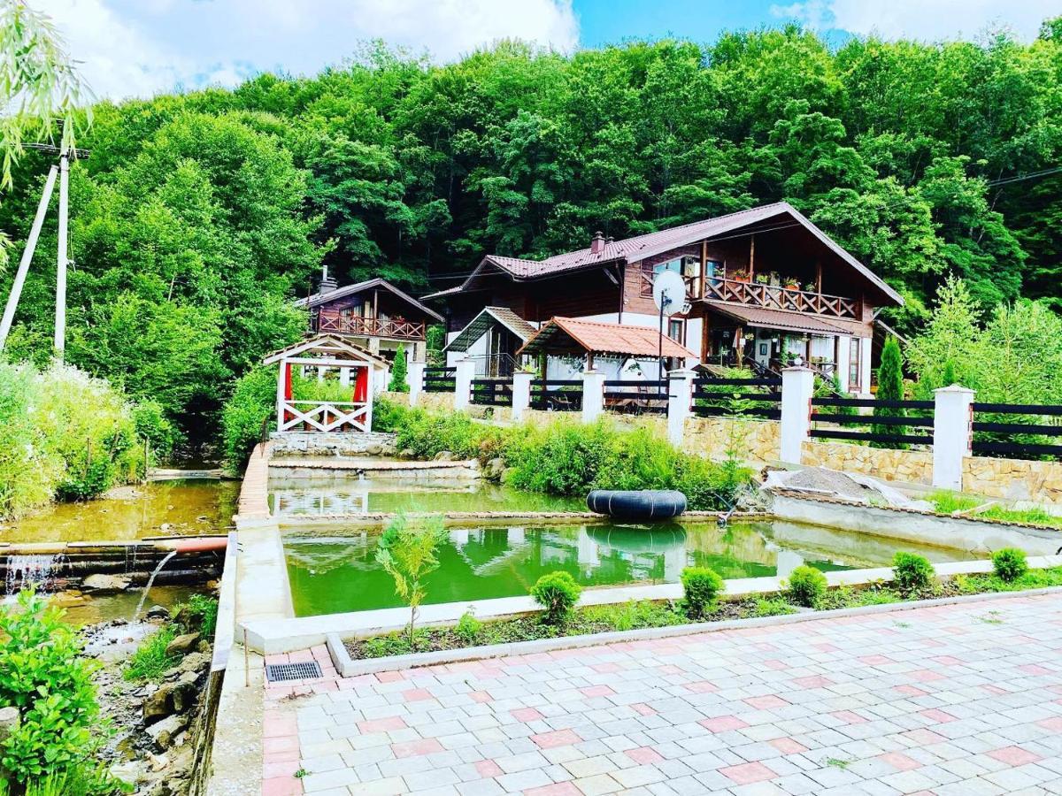 Chalet Vedmezhe Поляна Экстерьер фото