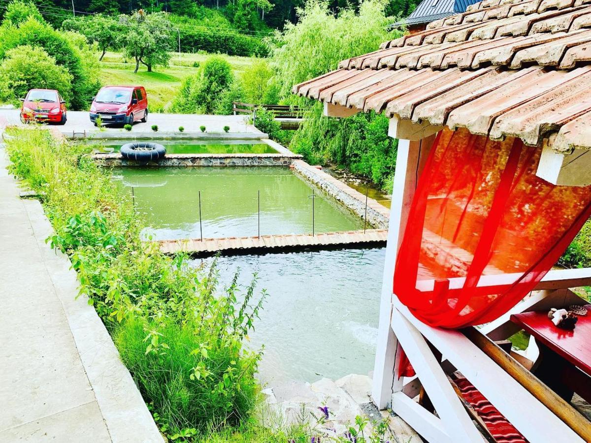 Chalet Vedmezhe Поляна Экстерьер фото