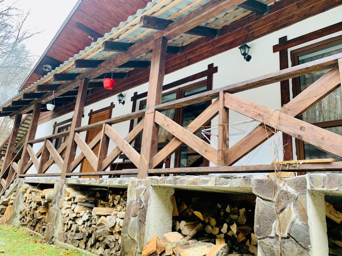 Chalet Vedmezhe Поляна Экстерьер фото