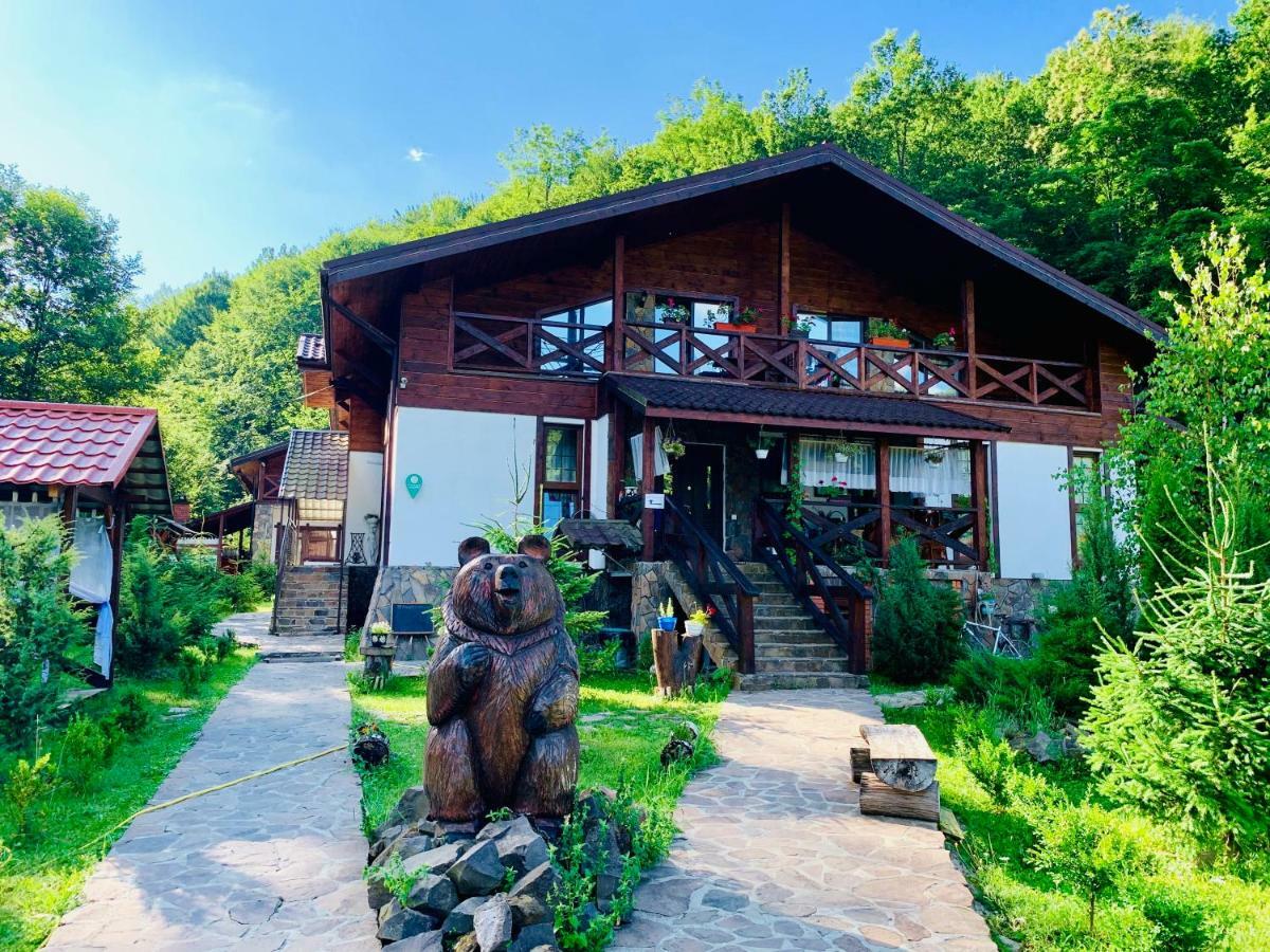 Chalet Vedmezhe Поляна Экстерьер фото